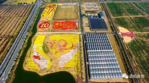 泗阳网红爆料是谁啊最新消息,揭秘神秘事件真相！”